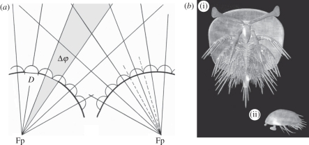 Figure 2.