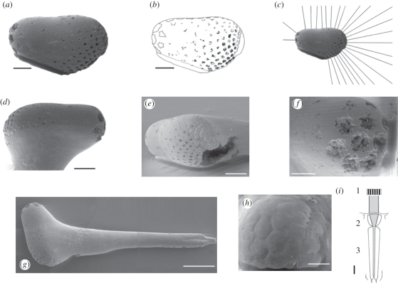 Figure 1.