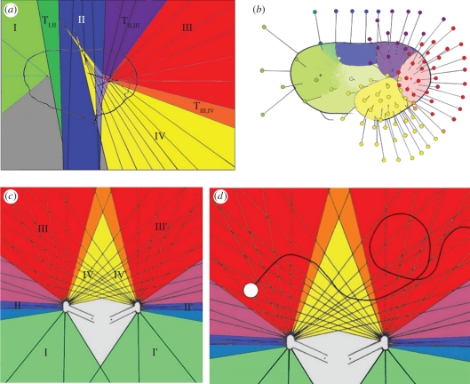 Figure 3.