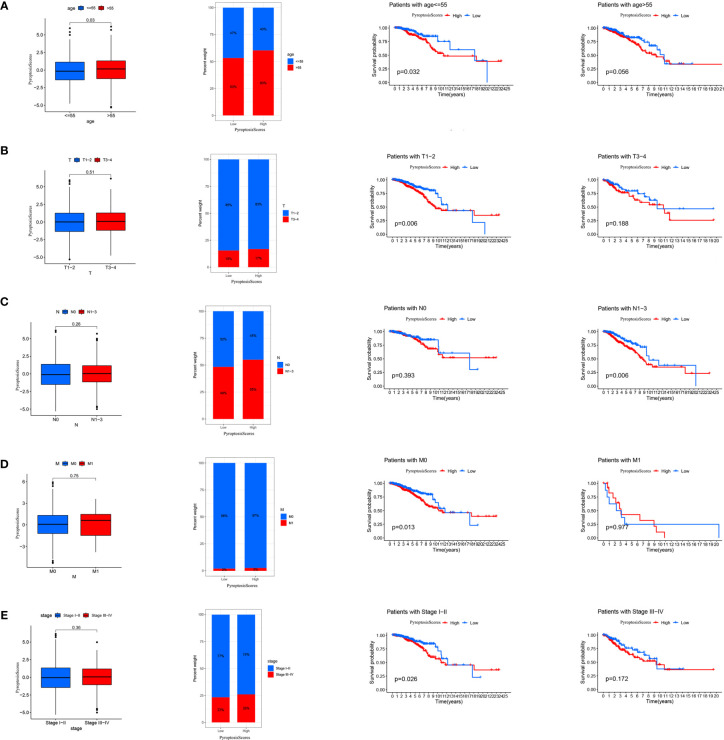 Figure 6