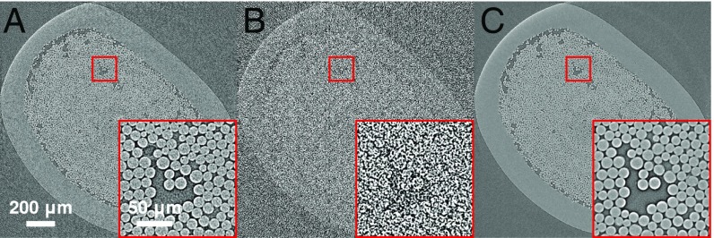 Fig. 8.