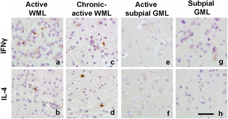 Fig. 7