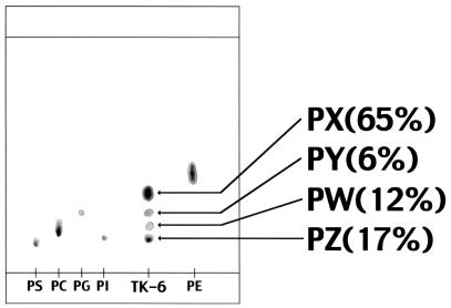 FIG. 1