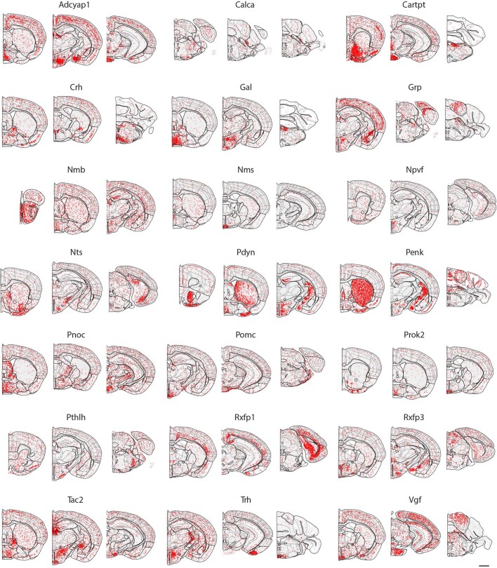 Extended Data Fig. 5