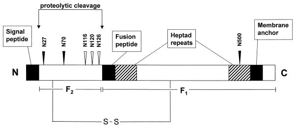 FIG. 1