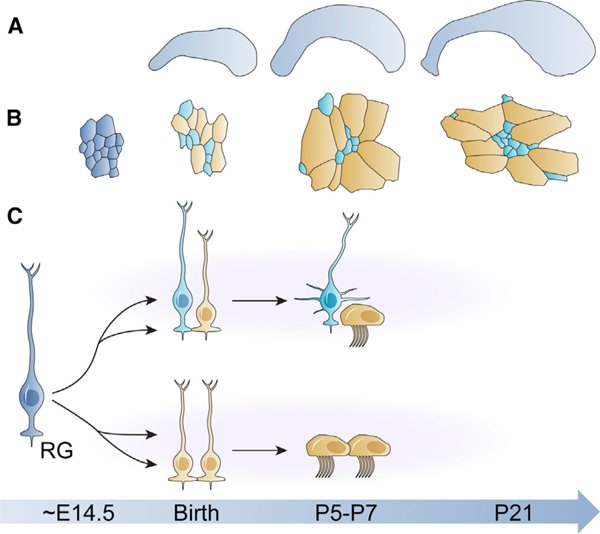 Figure 6.