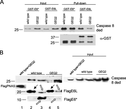 FIG. 9.