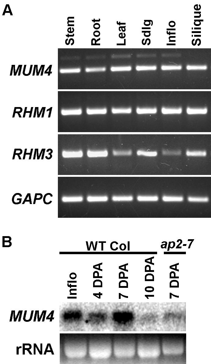 Figure 6.