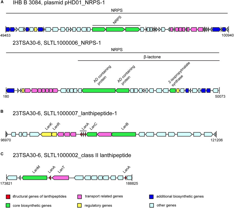 FIGURE 4