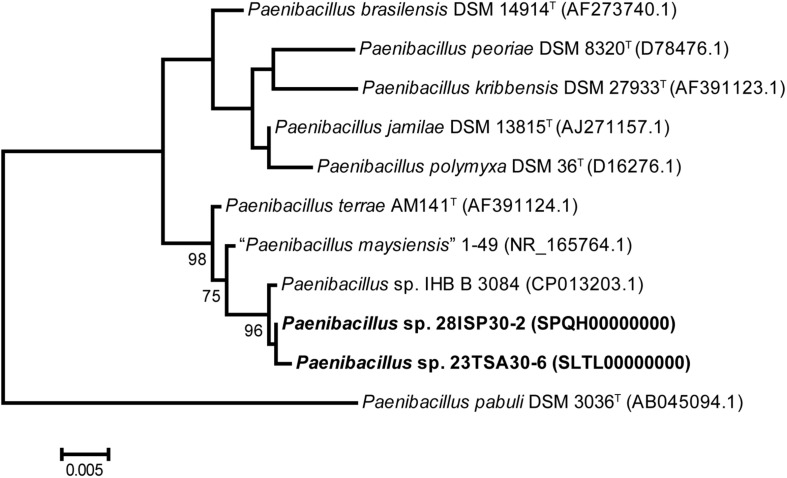 FIGURE 1