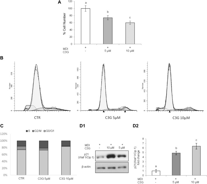 FIGURE 4