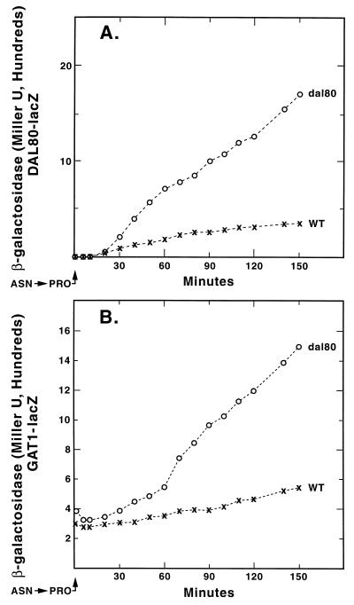 FIG. 9