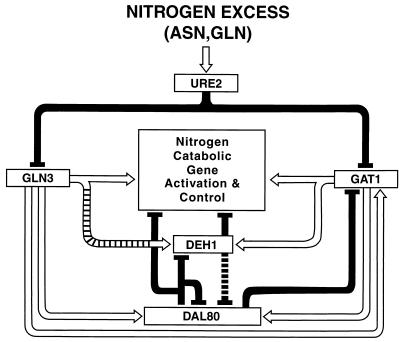 FIG. 1