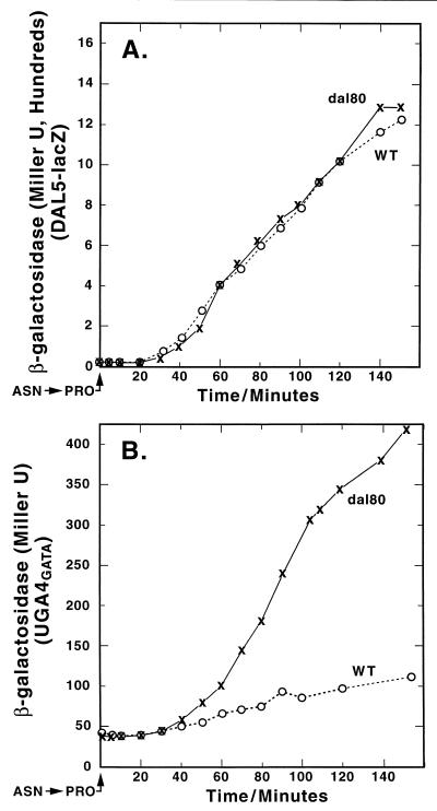 FIG. 8