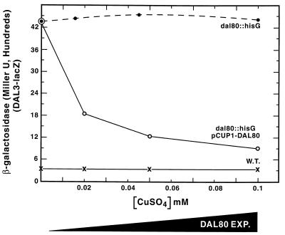 FIG. 6