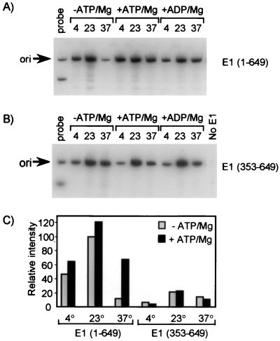 FIG. 6