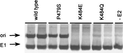 FIG. 8