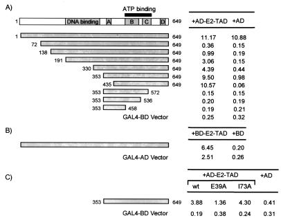 FIG. 1