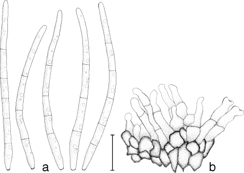 Fig. 13