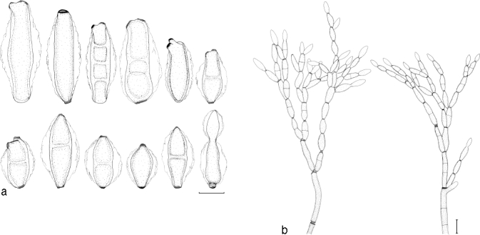 Fig. 11