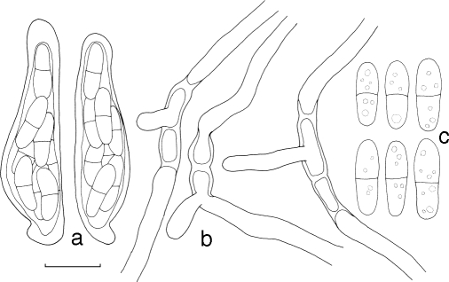 Fig. 9