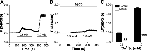 Fig. 10.