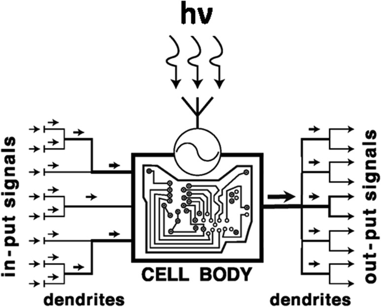 Figure 4.