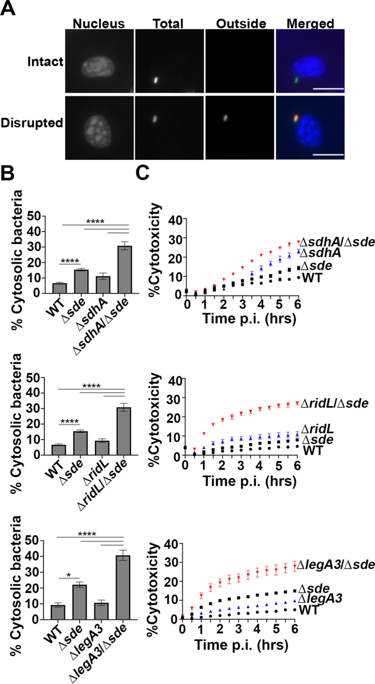 Fig. 3.