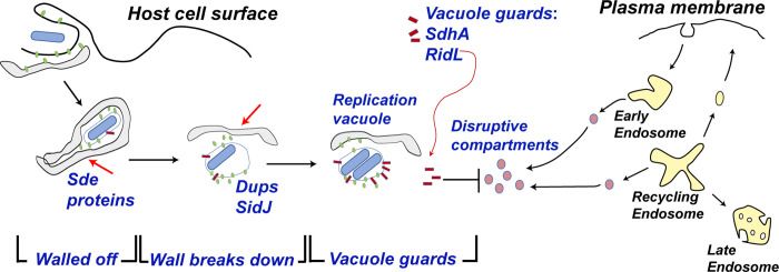 Fig. 7.