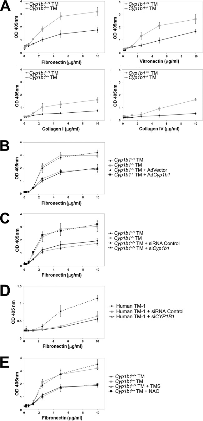 Fig 7