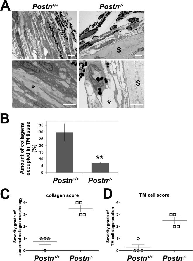 Fig 9