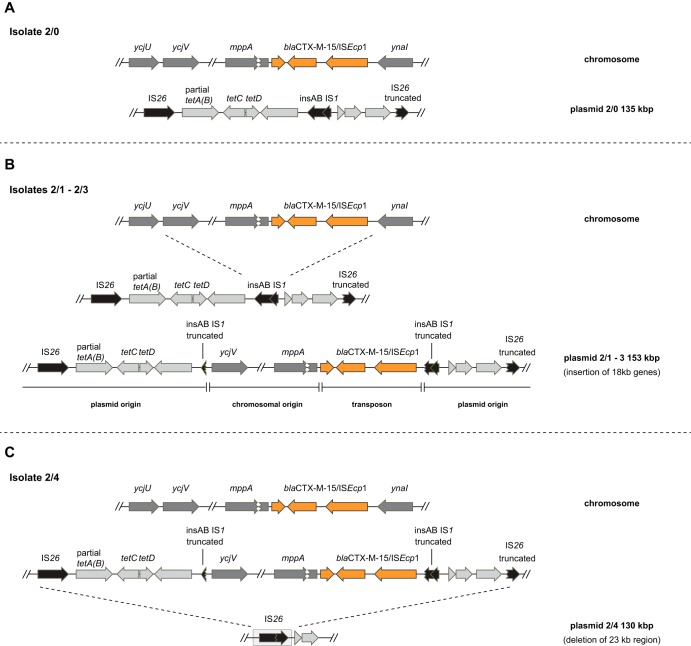 FIG 3