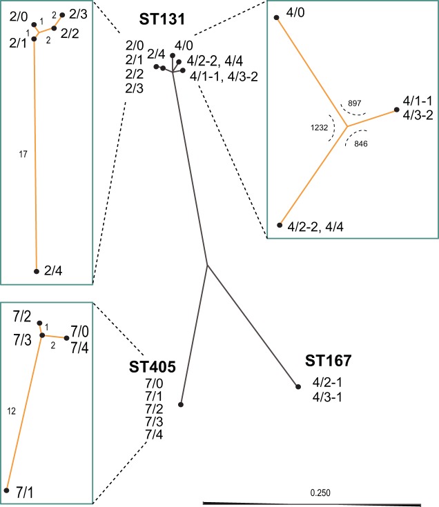 FIG 1