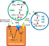 Fig. 7.