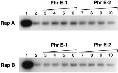 FIG. 5