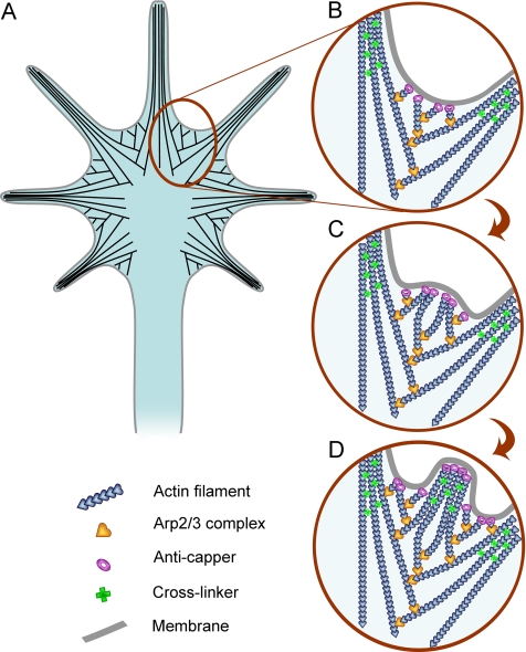 Figure 10.