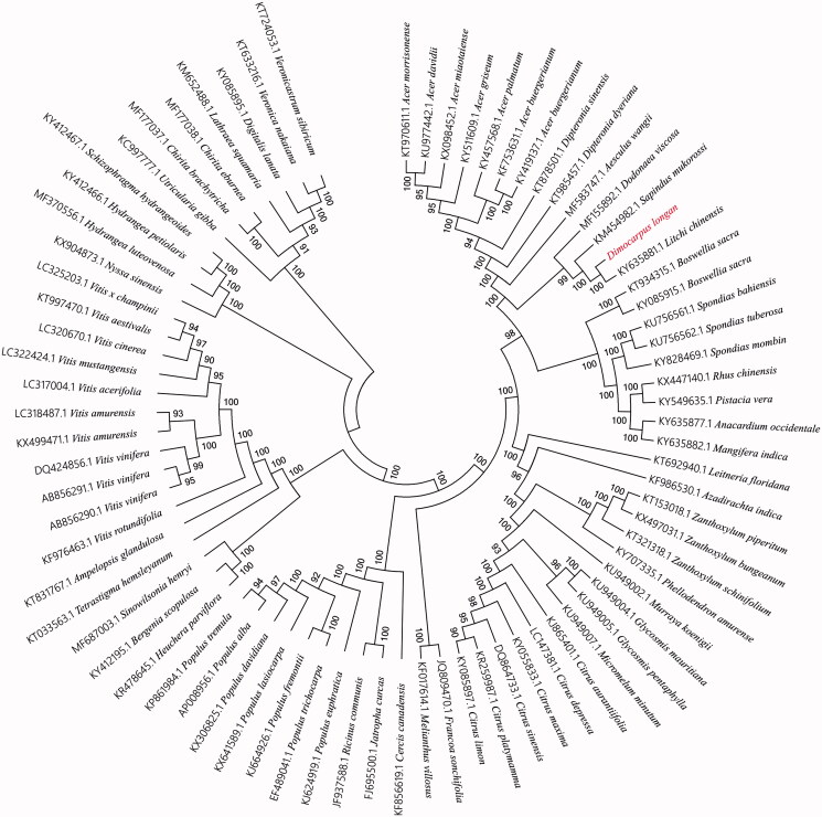 Figure 1.