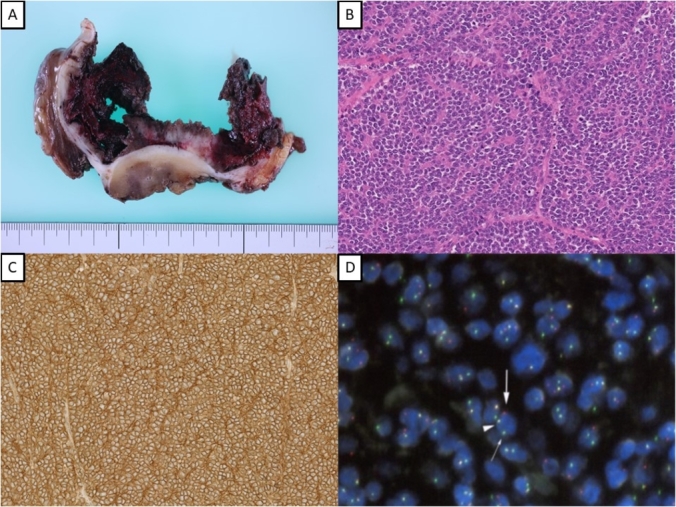 Fig. 2