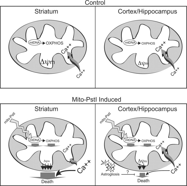 Figure 9.