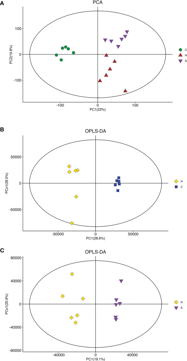 Figure 5