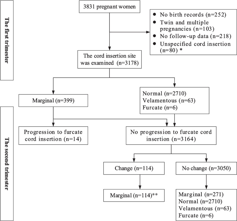 Fig. 4