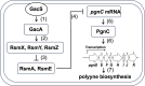 Fig 7
