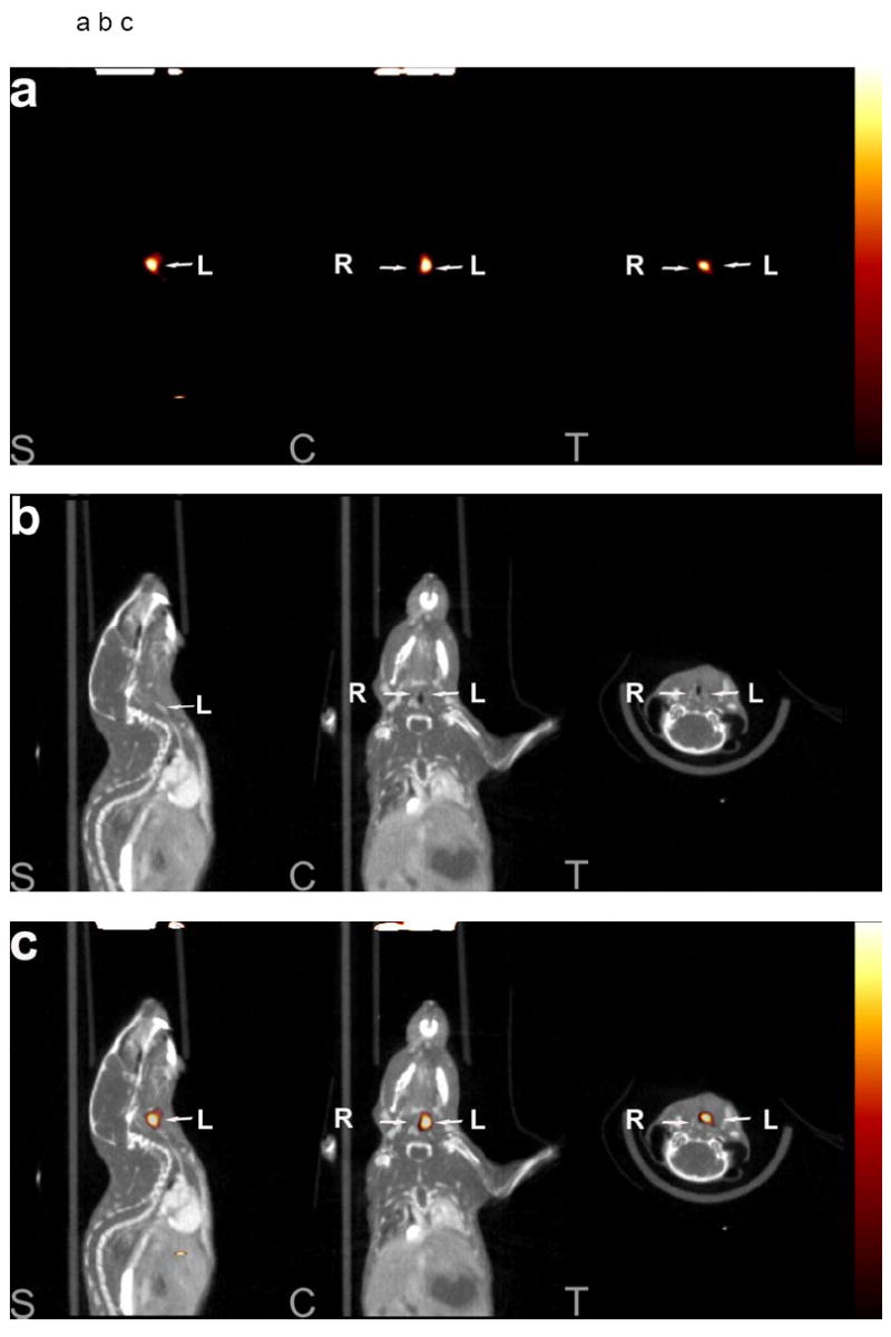 Fig 5