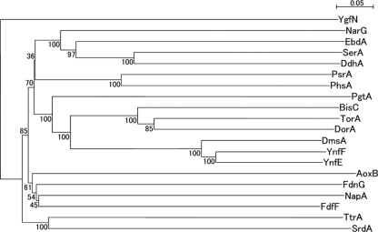 Fig. 5.