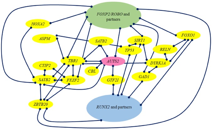 FIGURE 2