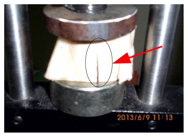 Figure (4)