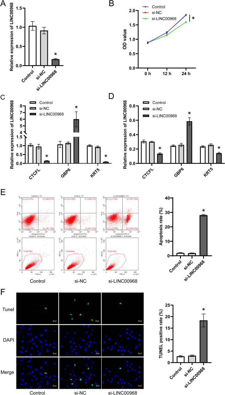 Fig 12