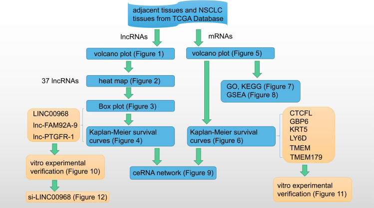 Fig 13