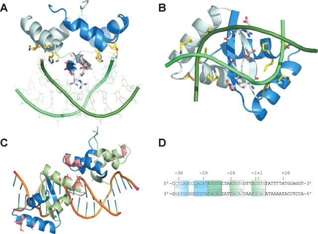 Figure 5.