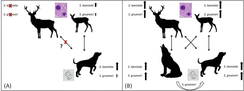 Fig. 3